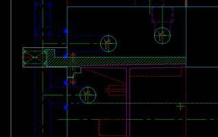 activity cavity sub insert